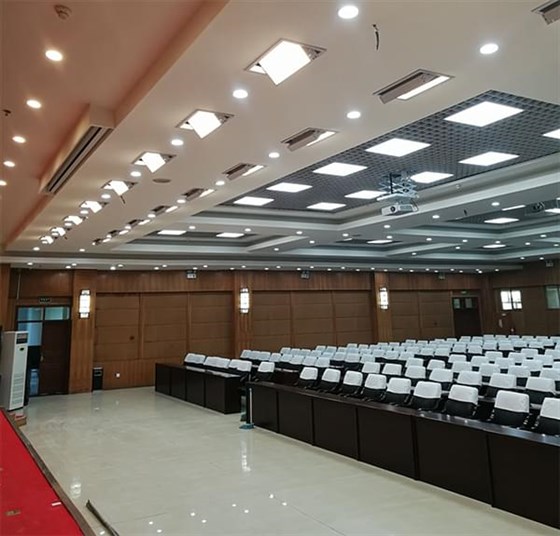 新疆五家渠市政府视频会议室灯光工程案例